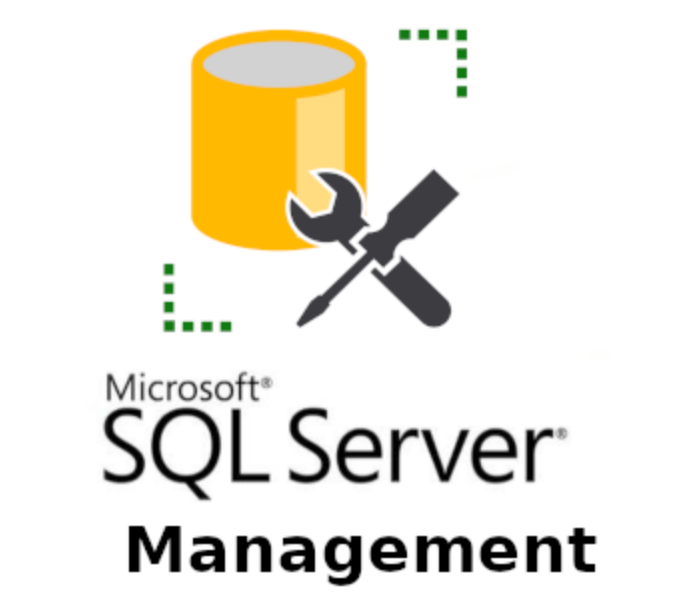 SSMS logo